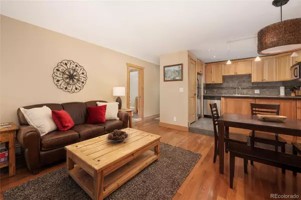 Fraser, CO 80442,309 County Road 804 #E204