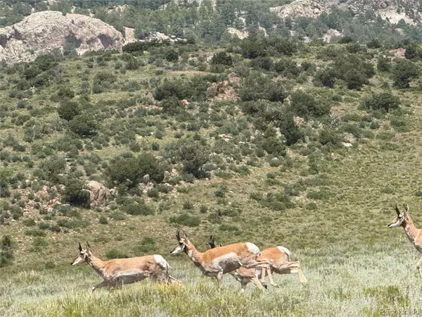 Westcliffe, CO 81252,Lot 25 Elk Crossing