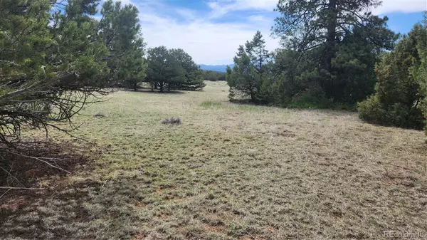 TBD L 20th TRL, Cotopaxi, CO 81223