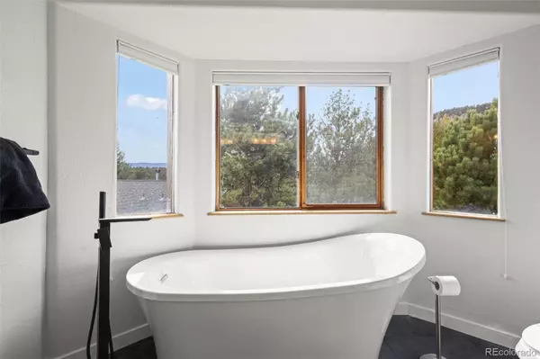 Bailey, CO 80421,24 Sunlight LN