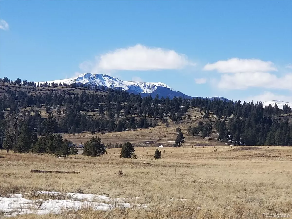 Buena Vista, CO 81211,Lot 25 Windmill Dr