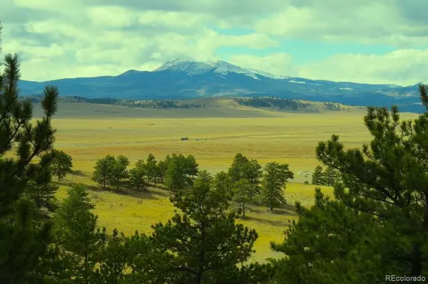 31180 Hwy 9, Hartsel, CO 80449