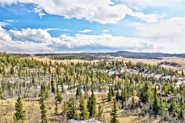 Como, CO 80432,316 Chippewa LN