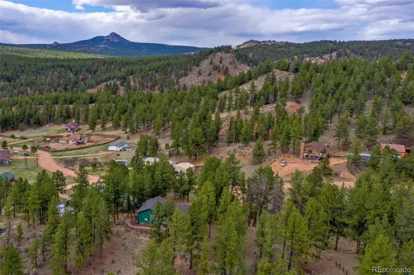 Florissant, CO 80816,517 Crystal Peak RD