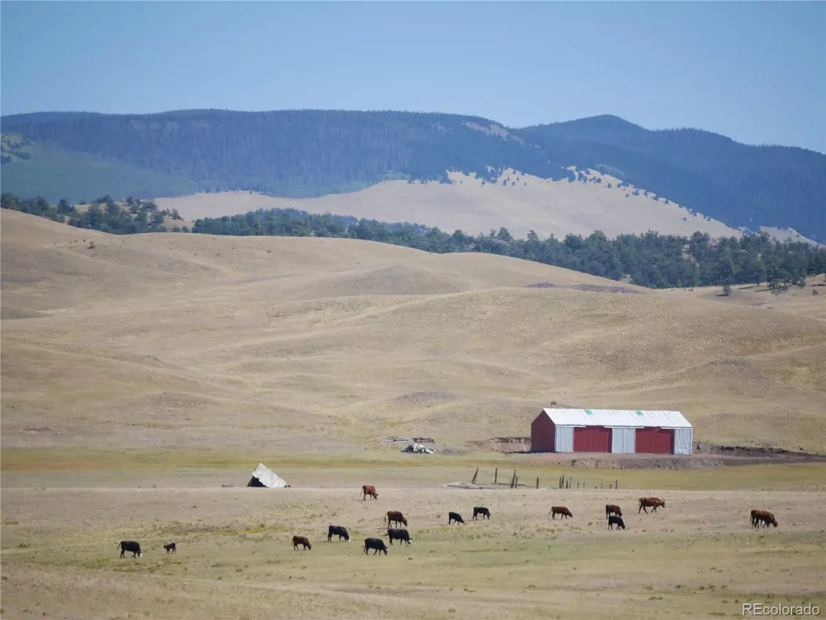 Hartsel, CO 80449,Dog Chief Trail