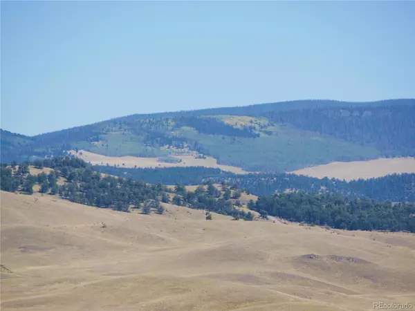 Hartsel, CO 80449,Dog Chief Trail