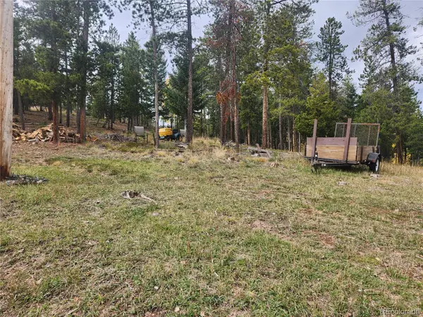 Evergreen, CO 80439,7041 Brook Forest DR