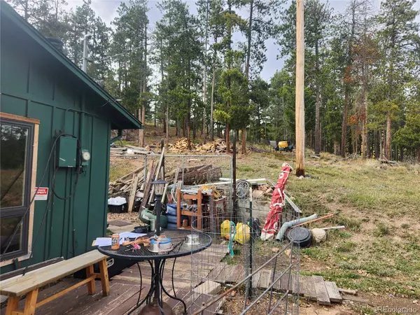 Evergreen, CO 80439,7041 Brook Forest DR