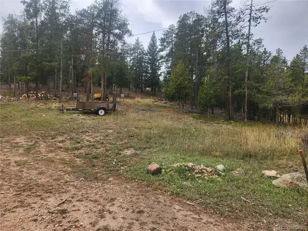 Evergreen, CO 80439,7041 Brook Forest DR