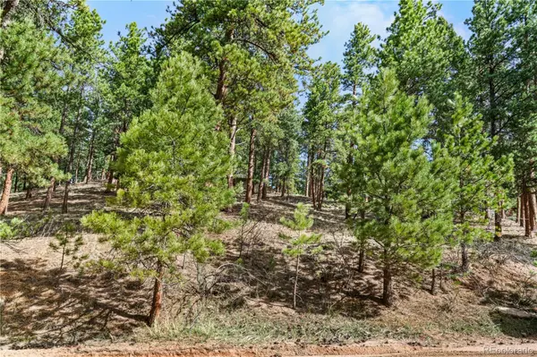 Woodland Park, CO 80863,156 E Ridge DR