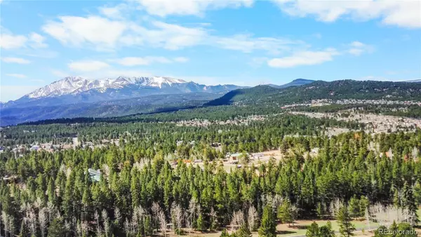 156 E Ridge DR, Woodland Park, CO 80863