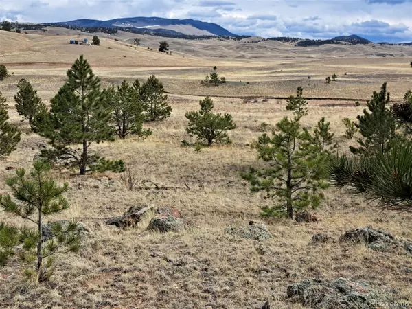 Hartsel, CO 80449,00 Black Beaver RD