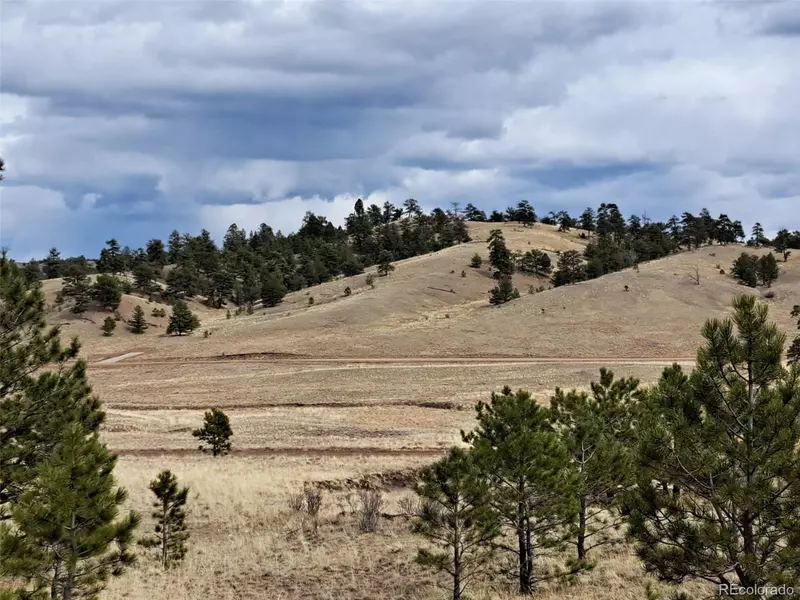 00 Black Beaver RD, Hartsel, CO 80449