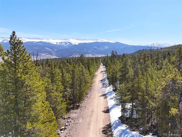 Twin Lakes, CO 80461,1033 Sequoia DR