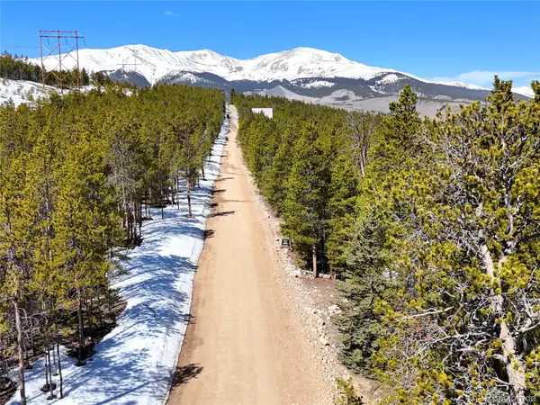 Twin Lakes, CO 80461,1033 Sequoia DR