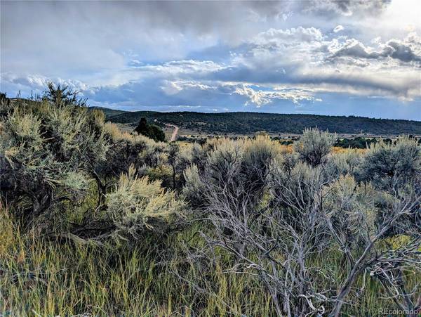 Fort Garland, CO 81133,Lot 7571 Mallott RD