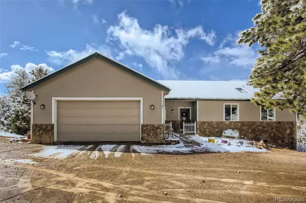 Bailey, CO 80421,80 Saddle LN