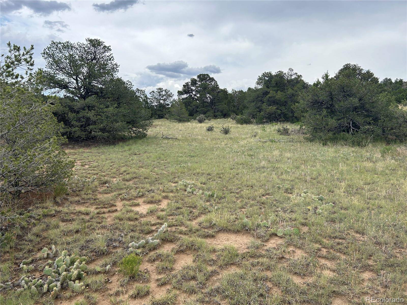 Walsenburg, CO 81089,lot 738 Rio Cucharas Phs #2
