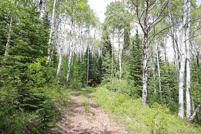 Collbran, CO 81624,1390 Overlook DR
