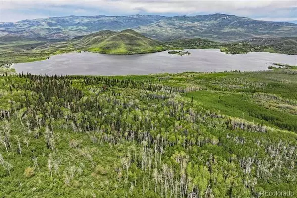 Collbran, CO 81624,1390 Overlook DR