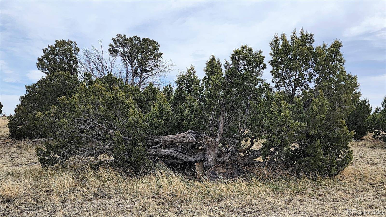 Walsenburg, CO 81089,Lot 72 Turkey Ridge Ranch