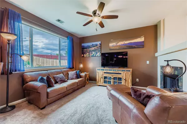 Castle Rock, CO 80104,1005 Parsons AVE