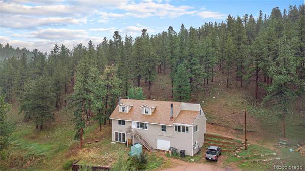 3378 County Road 43, Bailey, CO 80421