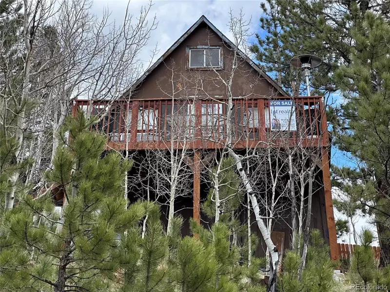 229 Mcdougal RD, Bailey, CO 80421