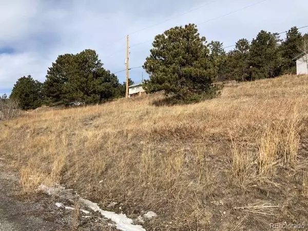 Nederland, CO 80466,287 Boulder Canyon DR