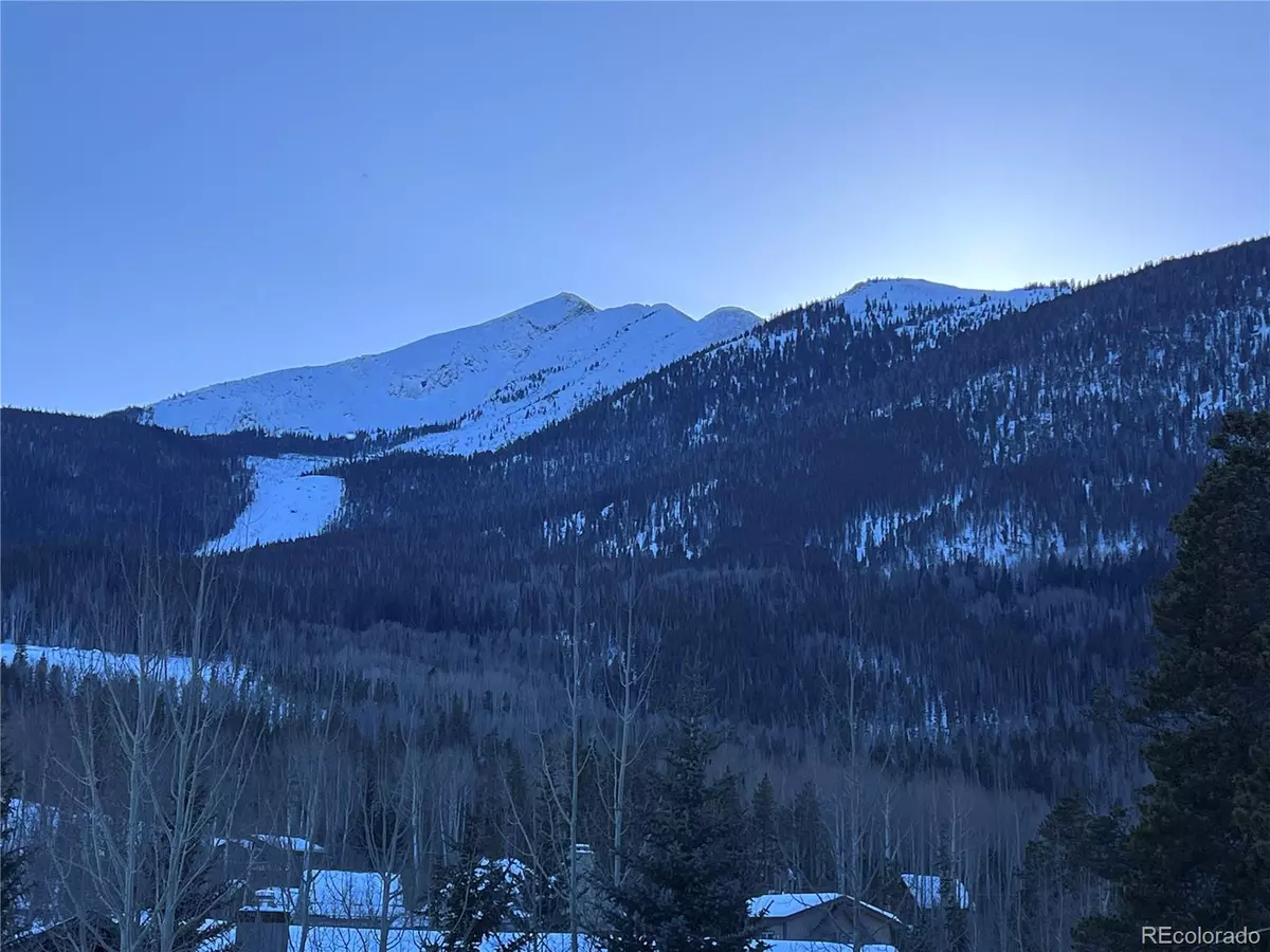 Frisco, CO 80443,670 S 7th AVE #339