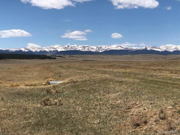 795 Kiowa TRL, Hartsel, CO 80449