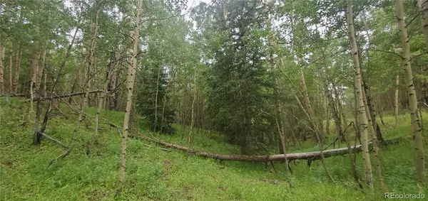 Fort Garland, CO 81133,Lot 6882 Donna RD