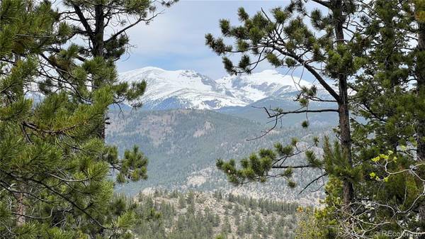 000 Sunny Skies TRL, Idaho Springs, CO 80452