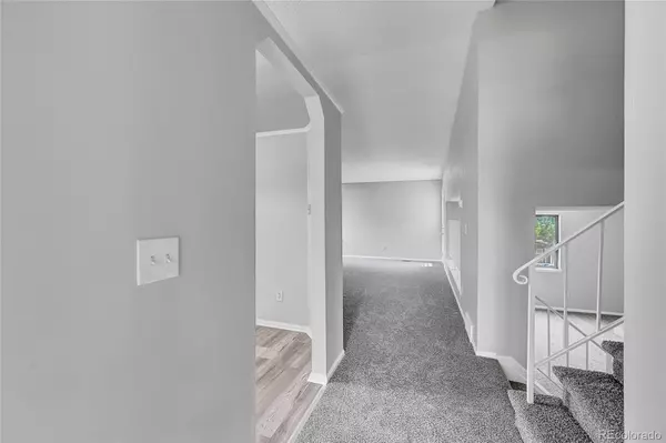 Thornton, CO 80241,12466 Albion ST