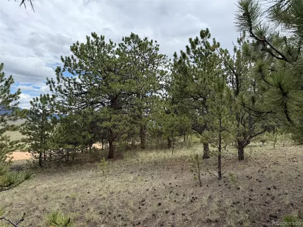 Hartsel, CO 80449,1769 Settele DR