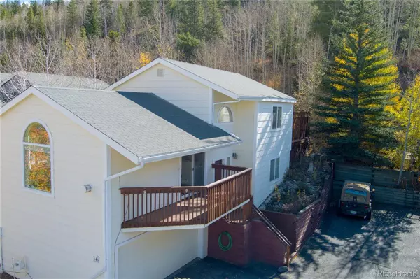 646 Alpine RD,  Dillon,  CO 80435