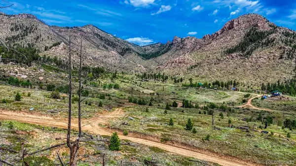 Woodland Park, CO 80863,Tract 36 S State Highway 67