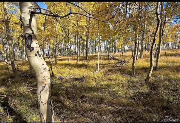 Hartsel, CO 80449,755 Bolster DR