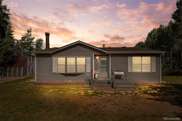 Bailey, CO 80421,1077 S Pine DR