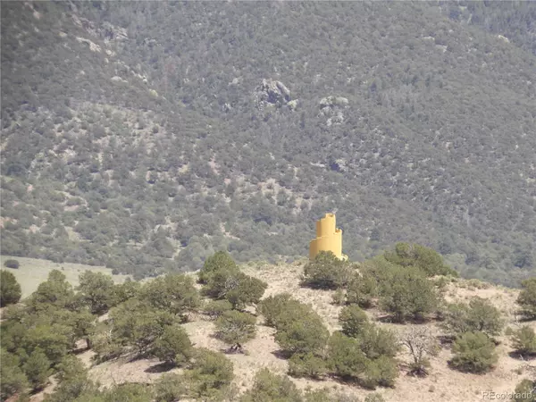 Crestone, CO 81131,308 Rainbow Trout TRL