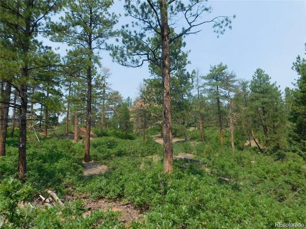 Larkspur, CO 80118,4356 Elati RD