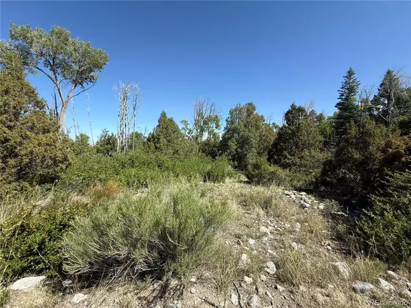 Alamosa, CO 81101,243 Mill RUN