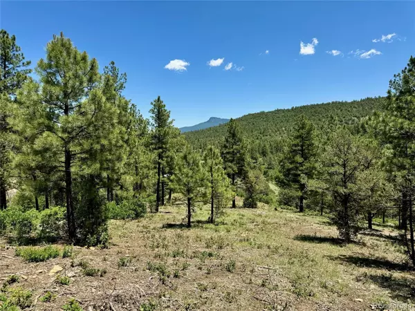 Trinidad, CO 81082,33161 Gallinas Pkwy