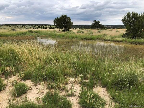 Walsenburg, CO 81089,Lot 229 Turkey Ridge Ranch