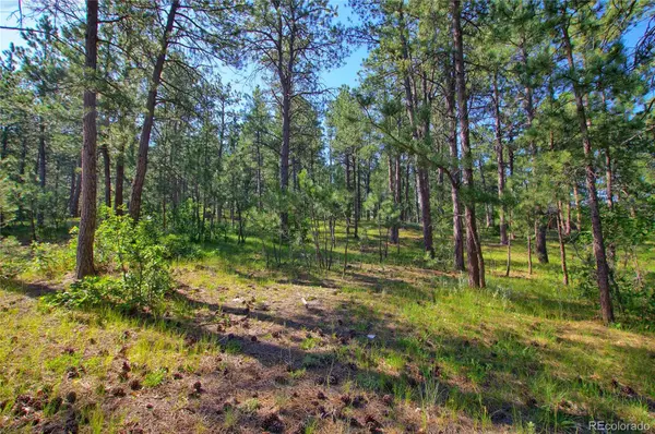 Monument, CO 80132,1085 Melinda LN