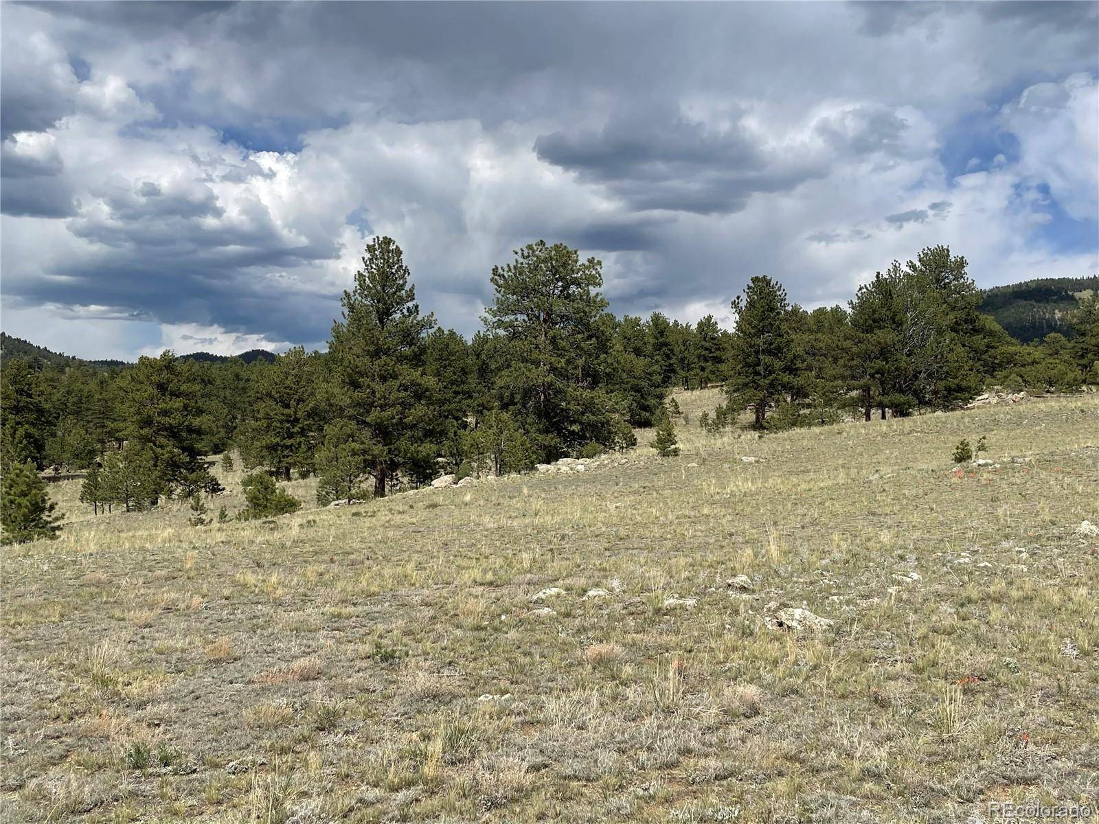 Hartsel, CO 80449,11809 Clear Creek RD