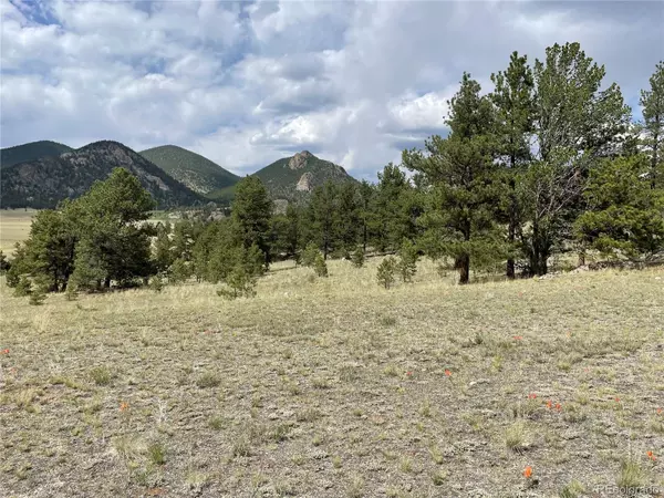 Hartsel, CO 80449,11809 Clear Creek RD