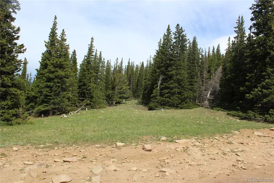 Group 14 Lamartine RD, Idaho Springs, CO 80452
