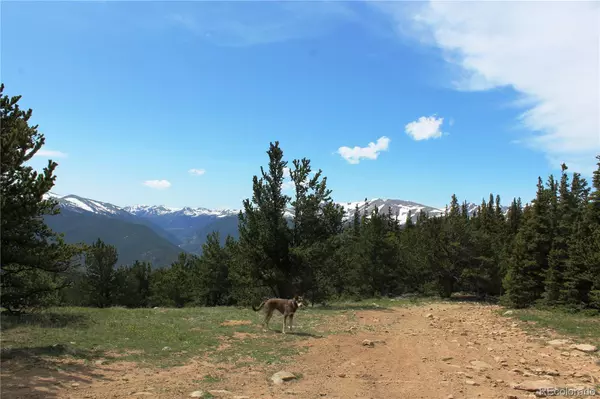 Idaho Springs, CO 80452,Group 14 Lamartine RD