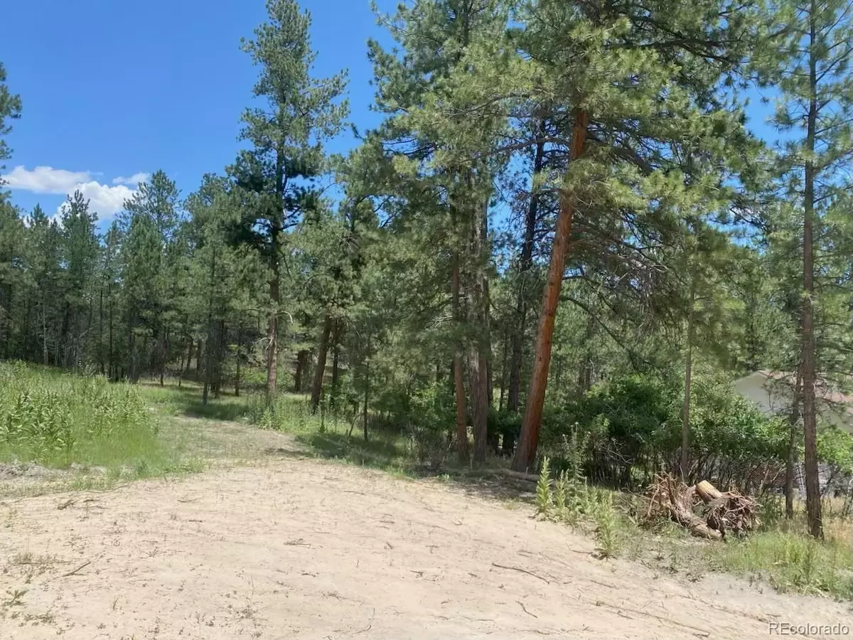 Larkspur, CO 80118,1025 Tenderfoot DR